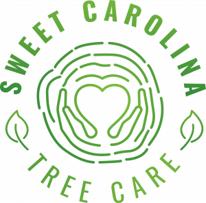 Sweet Carolina Tree Care