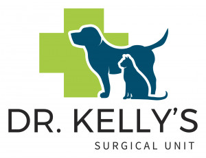 Dr Kelly's Surgical Unit